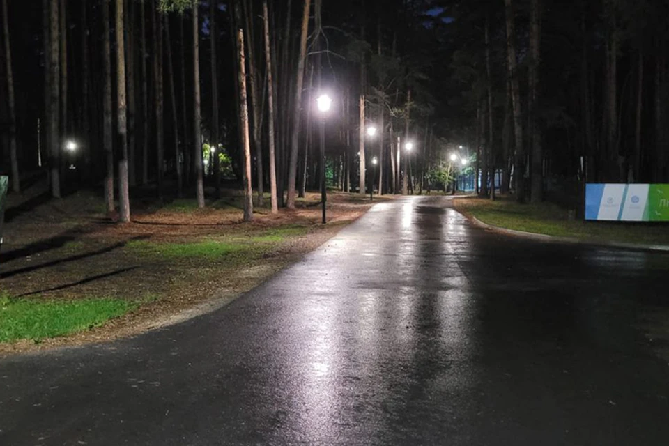 Фото предоставлено Липецкэнерго