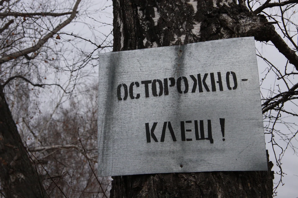 Фото: Укладов Олег, "Комсомольская правда"