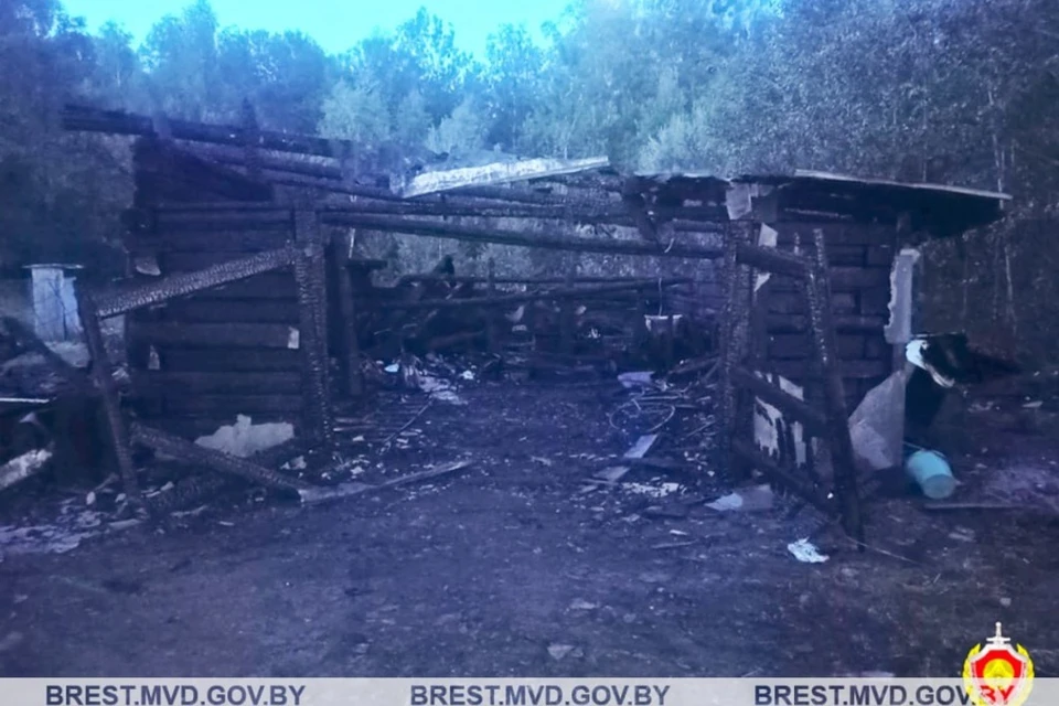 Под Березой пьяный мужчина поджег блоки с макулатурой во дворе из-за отказа налить кипятку для кофе. Фото: телеграм-канал УВД Брестского облисполкома