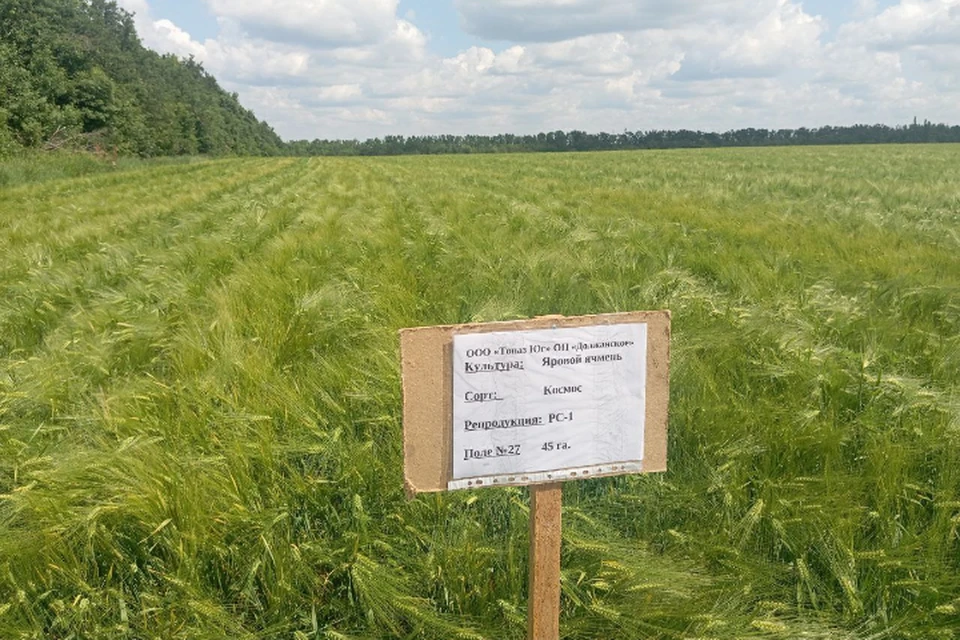Фото Луганского отдела «Донецкого» филиала Россельхозцентра