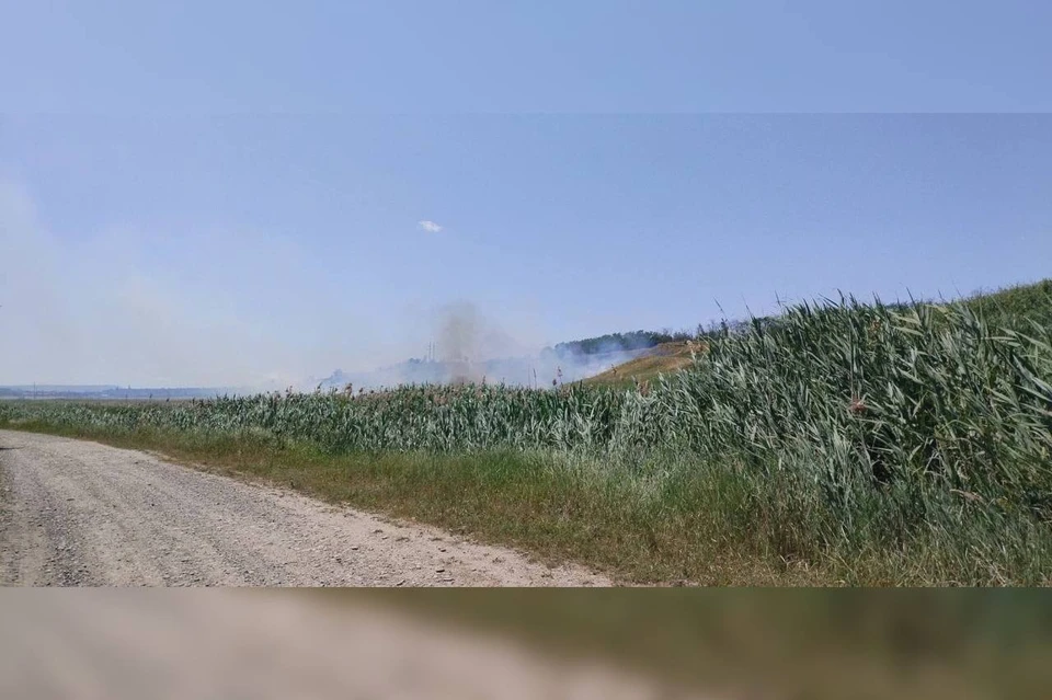 Сухая растительной горит в Кочубеевском округе Ставрополья. Фото: ПАСС Ставрополья