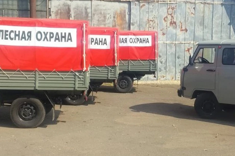 Санитарную порубку на 17 гектарах проведут в Мелитопольском лесхозе. Фото: министерство природы, экологии и недропользования Запорожской области