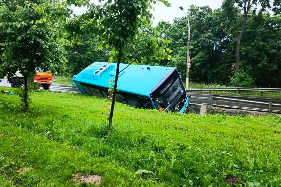 Автобус съехал с дроги из-за комара. Фото: Мегаполис/тг