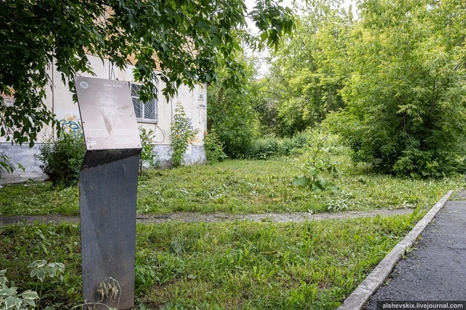 Депутат пожаловался на кусты и высокую траву около дома поэта. Фото: Андрей Альшевских