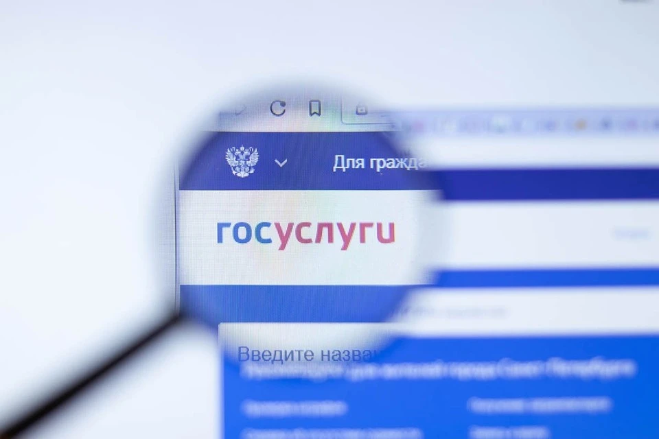 На Госуслугах заработал сервис социальных вкладов и счетов для малоимущих
