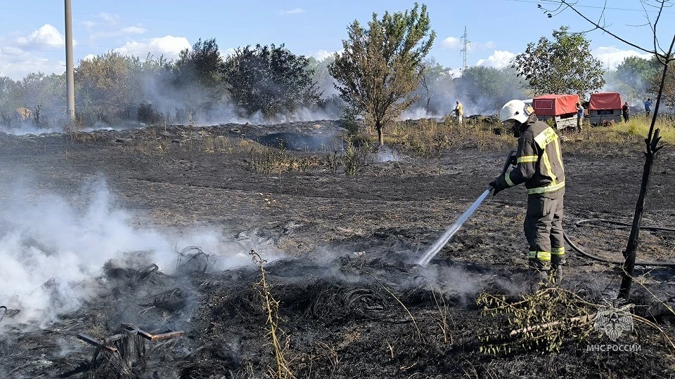 Фото: пресс-служба ГУ МЧС по РК