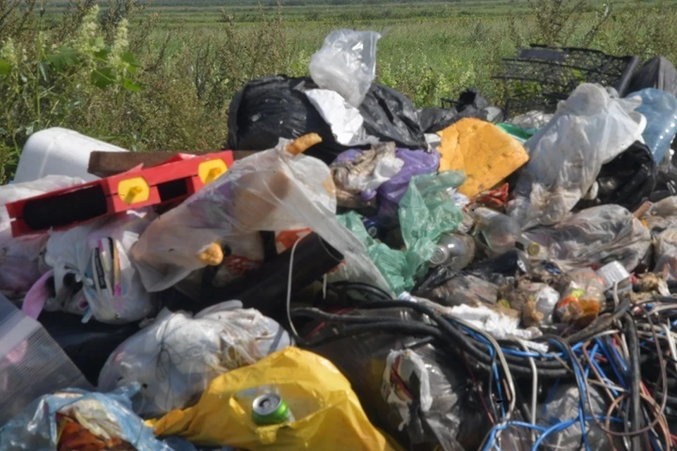 Ртутьсодержащие лампы нашли у Спасо-Преображенского собора в Хабаровске