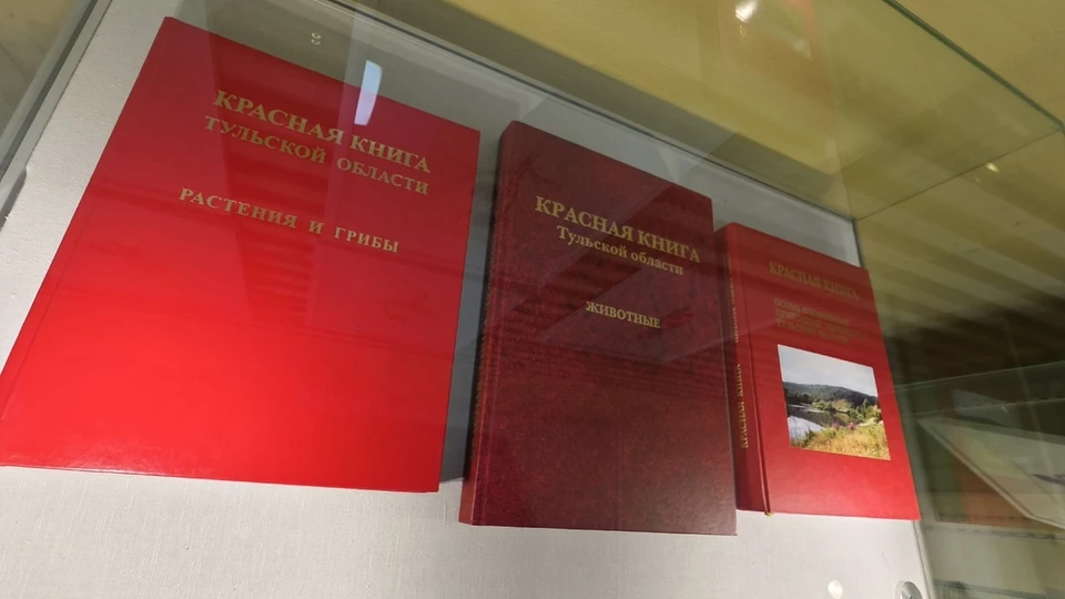 4 июля в тульском экзотариуме откроется выставка, посвящённая исчезающим видам региона.