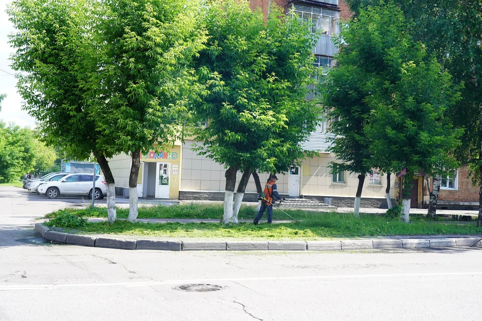 В муниципалитетах Кузбасса в срочном порядке начали отрабатывать жалобы, проступившие Илье Середюку в соцсетях.