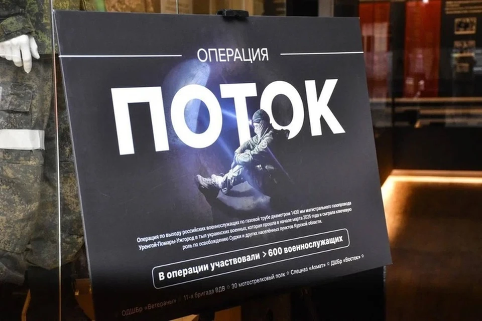 Выставка размещена в краеведческом музее. ФОТО: ТГ-канал Леонида Пасечника