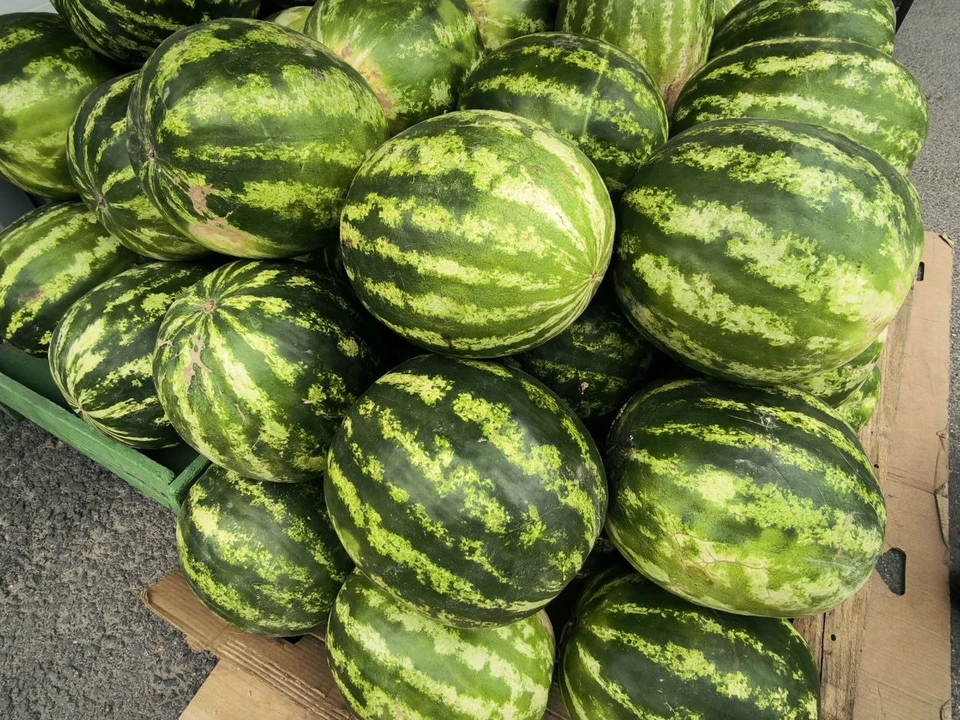В завезенной в регион плодоовощной продукции выявили четыре вида опасных вредителей. Фото: Анна Ковалева