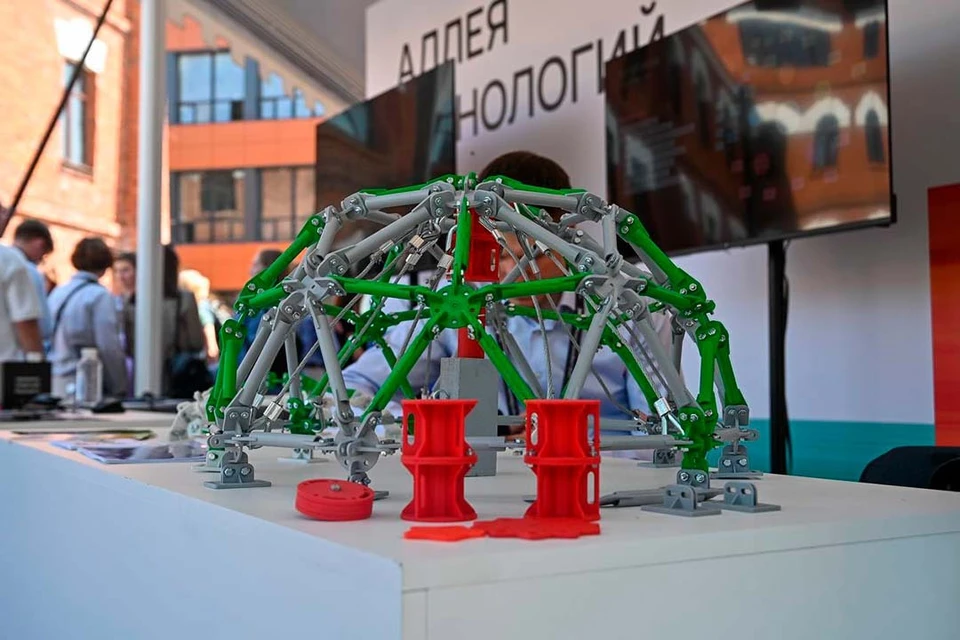 Она станет четвертой долиной в Петербурге. Фото: Кирилл Поляков/Tg