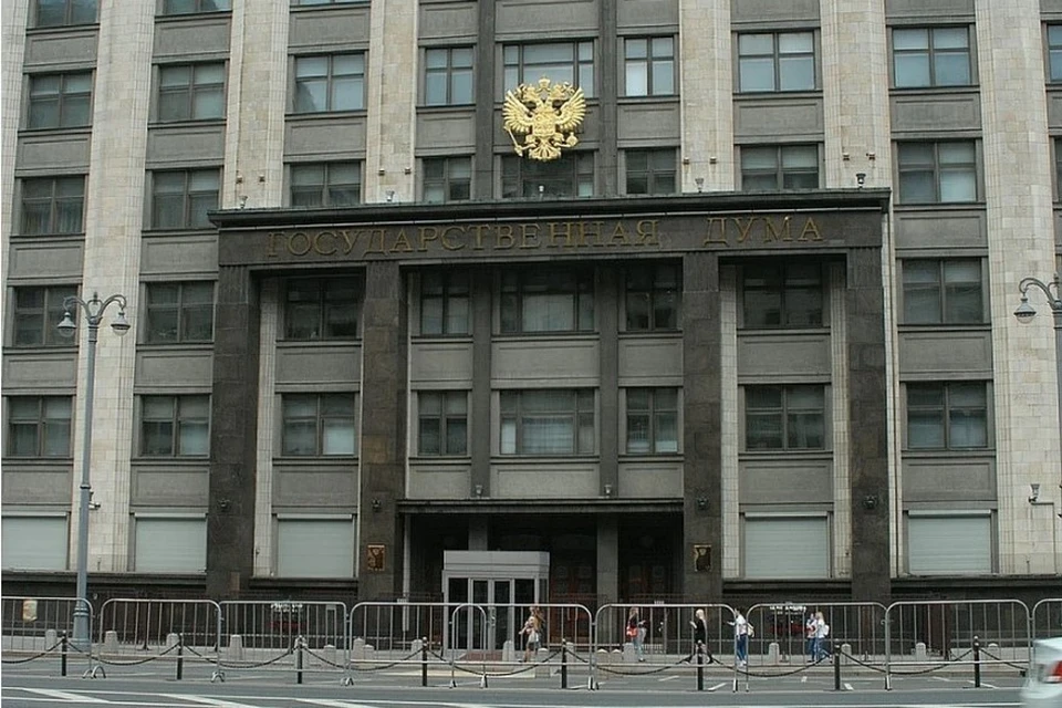 В Госдуму внесен законопроект о штрафах для операторов цифровой платформы