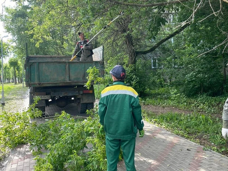 В то же время коммунальные службы напоминают, что ответственность за деревья во дворах лежит на управляющих компаниях, а не на городских службах. Фото: администрация Кирова
