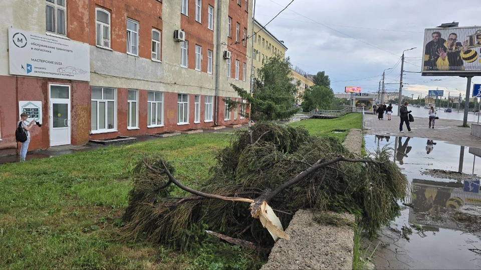 Фото: Валерия Волкова