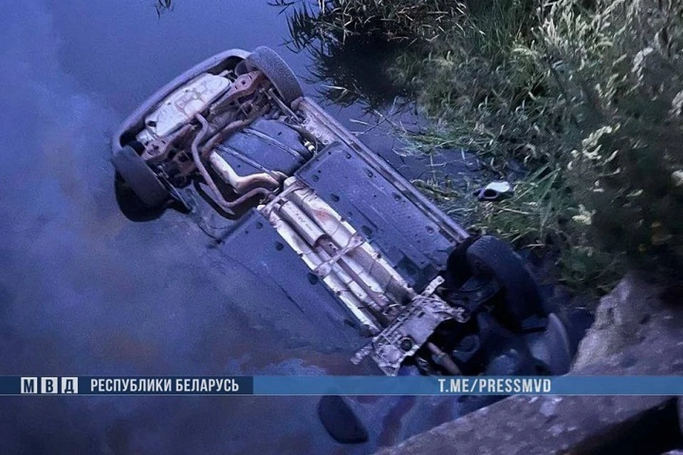 Два человека погибли в машине, упавшей в мелиоративный канал. Фото: МВД.