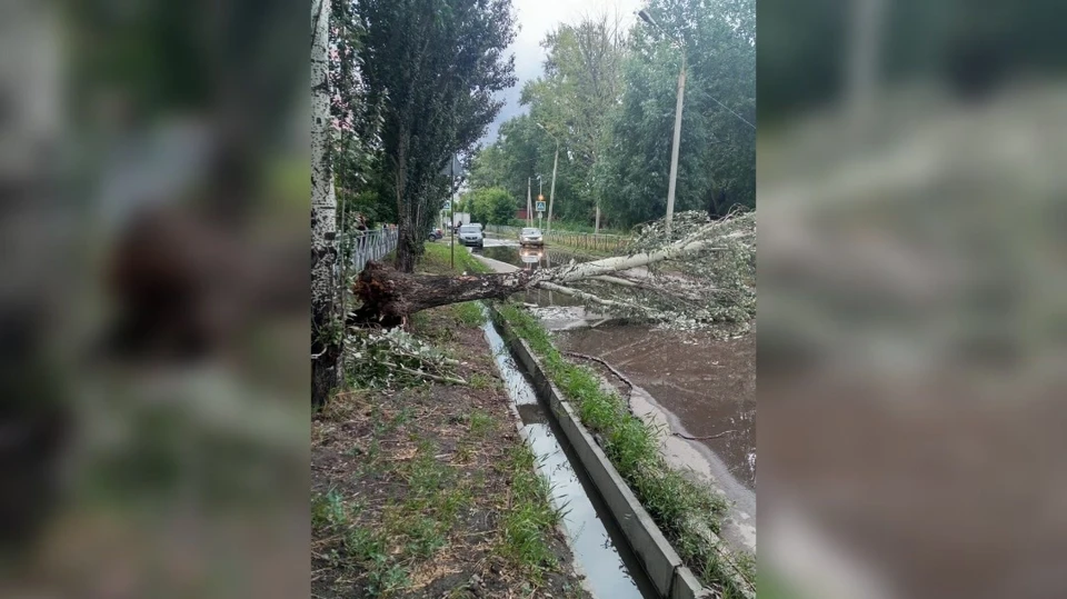 Фото: телеграм-канал Сергея Шелеста
