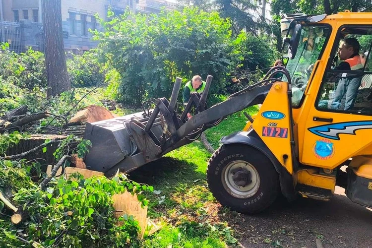 496 деревьев рухнули во время шторма в Петербурге