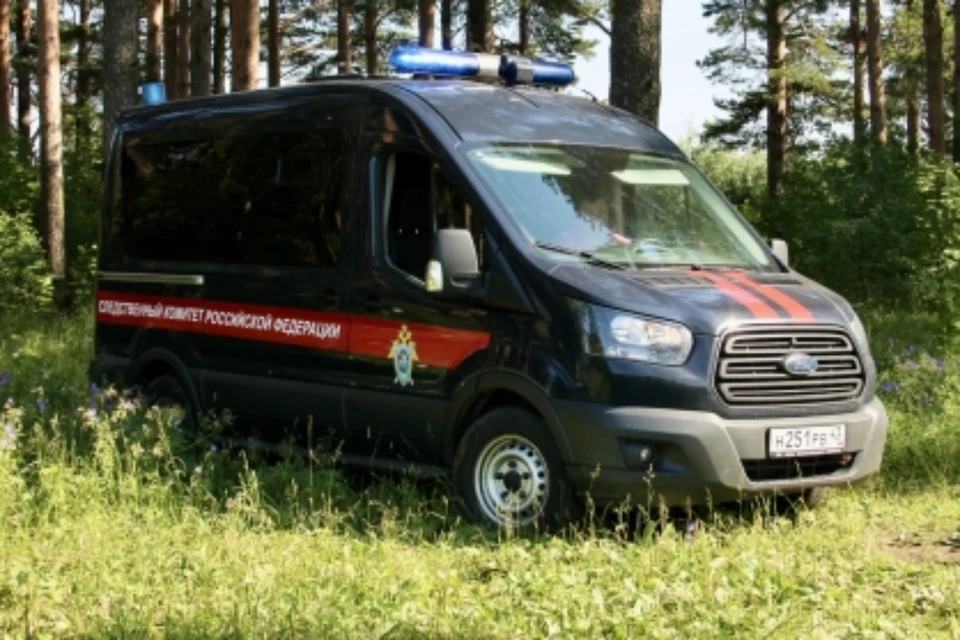 Тело 10-летнего мальчика нашли в лесополосе. Фото: СУ СК России по Кировской области