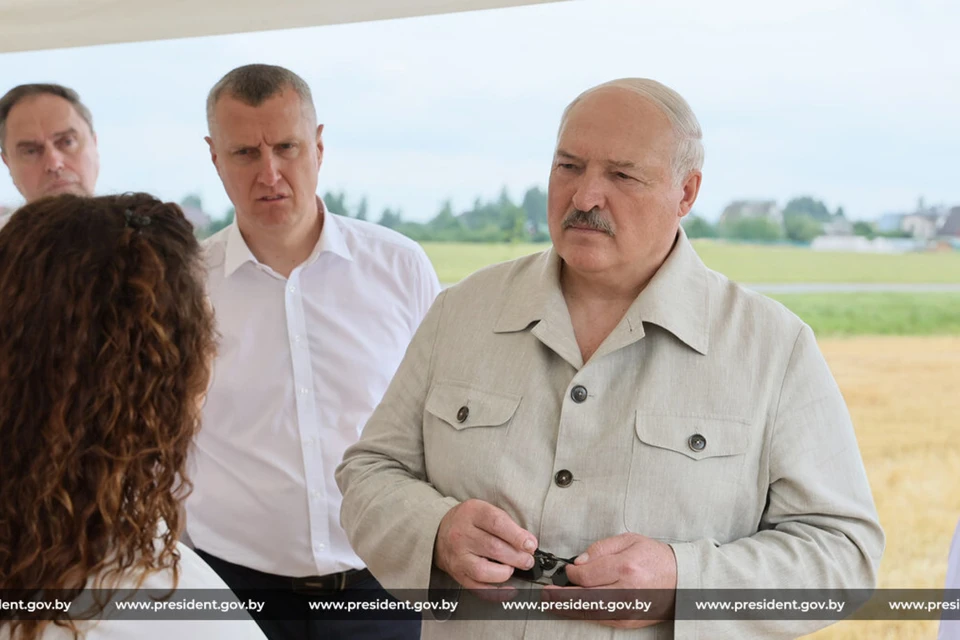Лукашенко сказал убрать поваленный лес к 1 сентября в Беларуси. Фото: president.gov.by