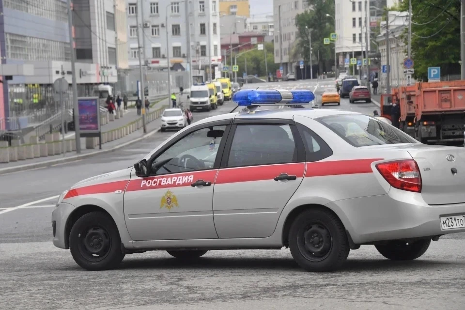 В Подмосковье росгвардейцы задержали местного жителя, находящегося в розыске