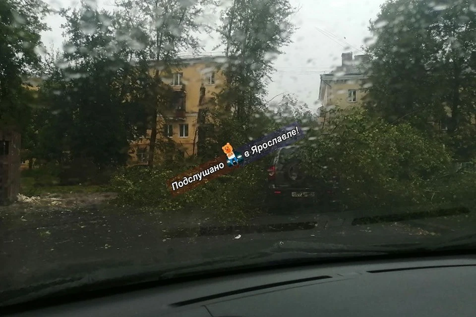 Такая картина сейчас по всему Ярославлю. ФОТО: группа "Подслушано в Ярославле"