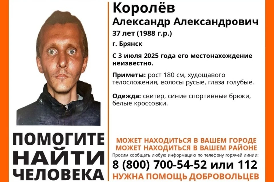 Фото: поисковый отряд "Лиза Алерт", ВКонтакте.