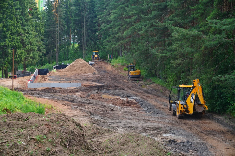 Первый этап благоустройства парка завершится в октябре 2025 года. Фото: vk.com/d_a_chistyakov