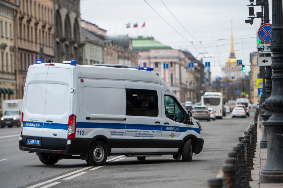 Приезжий вынес из квартиры в Петроградском районе сейф.