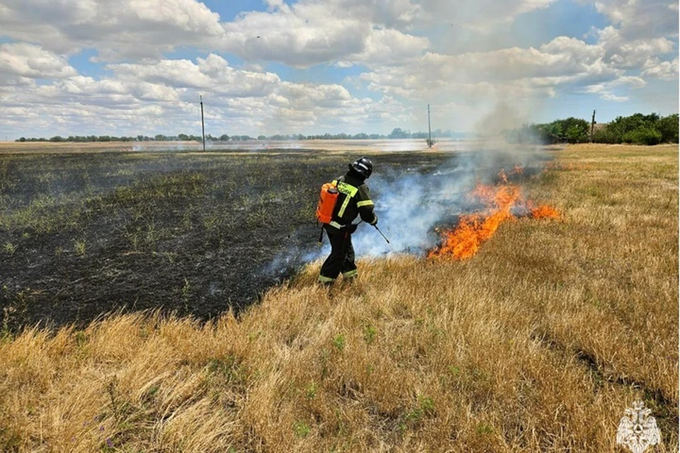 В регионе остается высокой опасность пожаров, особенно полевых. Фото: ГУ МЧС России по Запорожской области