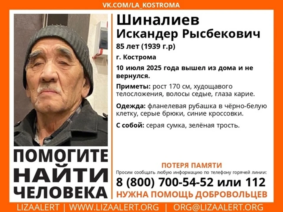Фото: ДПСО "Лиза Алерт" Костромской области