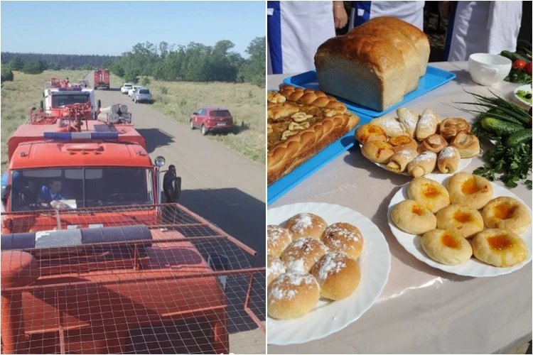 Мужчины сбивали пламя, а женщины несли борщ и пирожки: Как под Ростовом селяне сутки спасали хутор и гектары леса от огня