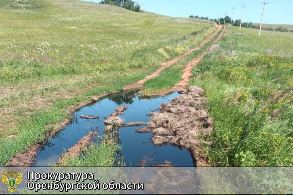Специалисты оценивают масштабы загрязнения почвы. Фото: прокуратура Оренбуржья