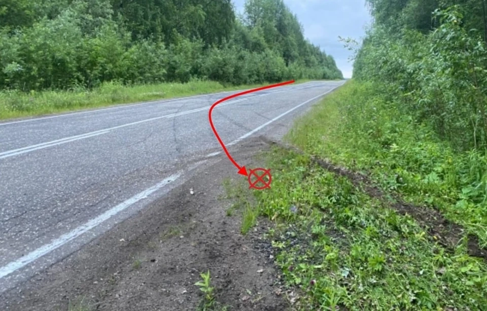 Фото: Госавтоинспекция Коми