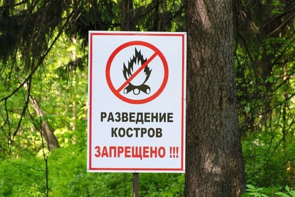 Фото: пресс-служба администрации Сочи