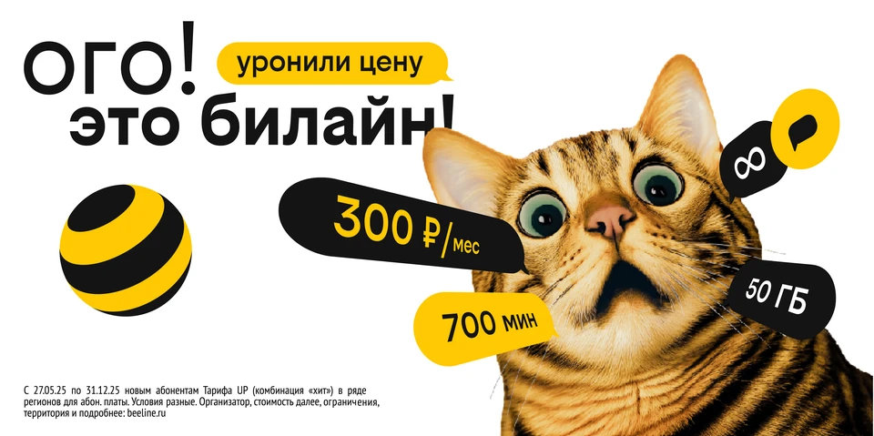 Фото: ПАО «ВымпелКом»