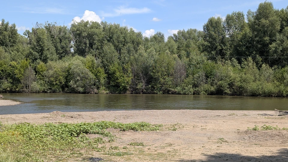 За неделю в Оренбуржье зарегистрировали 12 происшествий на воде. Фото: Ольга Ахмадуллина.