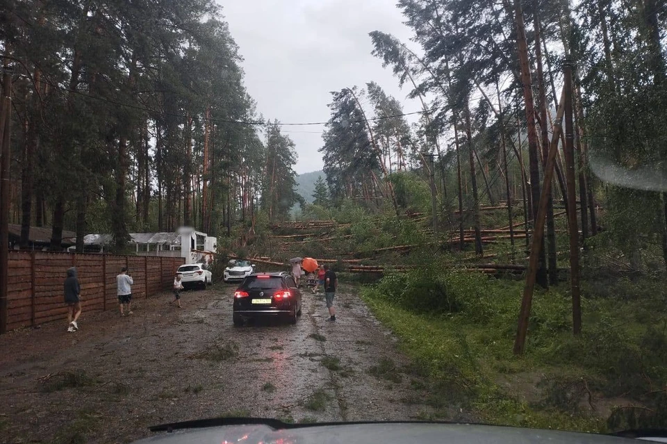 14 июля в Чемальском районе прошел ураган. Фото: тг-канал главы Алтая Андрея Турчака