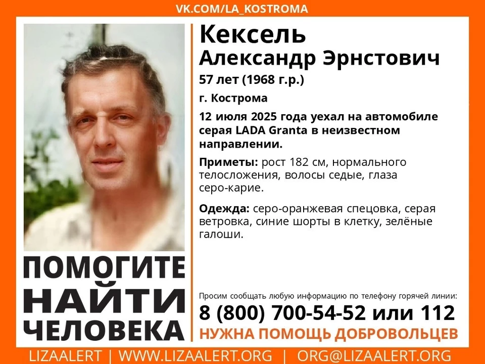 Фото: ДПСО "Лиза Алерт" Костромской области