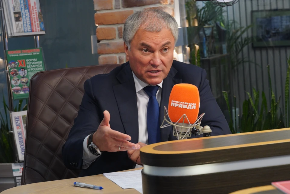 Володин: основания для лишения приобретенного могут расширить