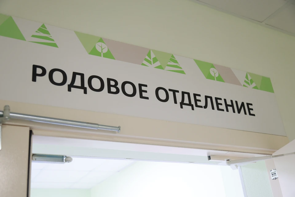 Рождаемость в регионе опустилась ниже плановых значений