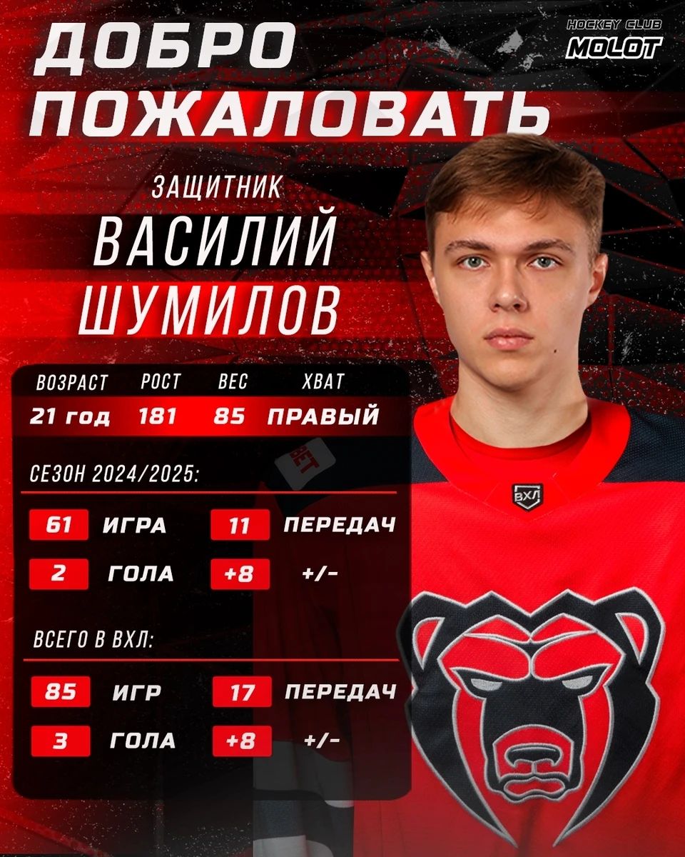 Фото: Хоккейный клуб «Молот»/Вконтакте