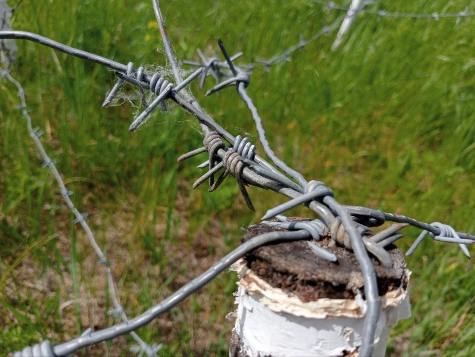 Из-за атаки FPV-дрона ВСУ ранены два бойца «Орлана» в Белгородской области