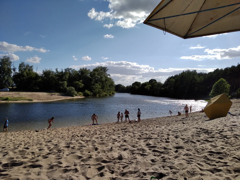 В регионе стоит жара