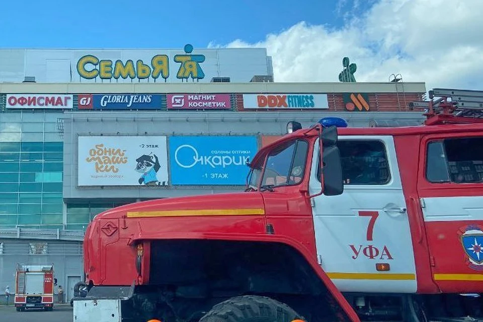 Фото: UTV