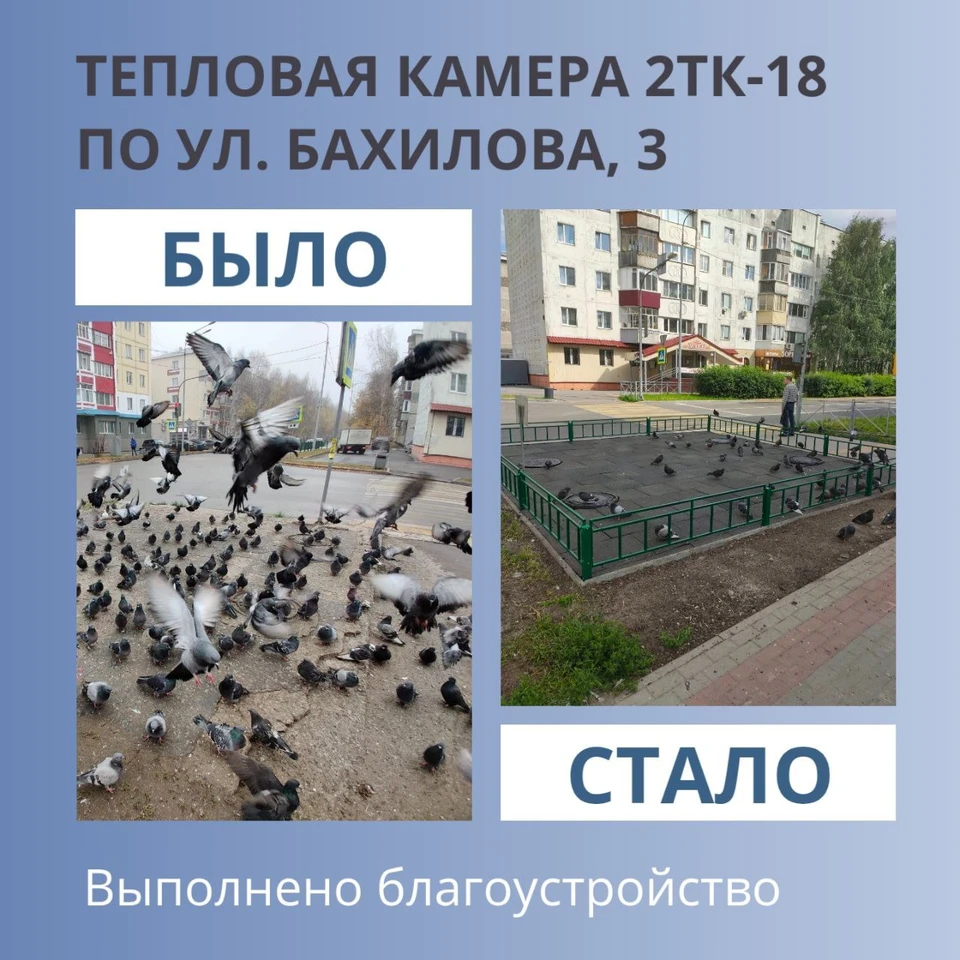 Фото: Максим Слепов