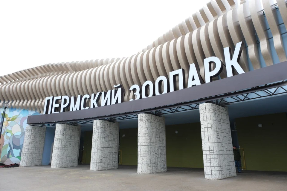 Фото: пресс-служба Минстроя Пермского края