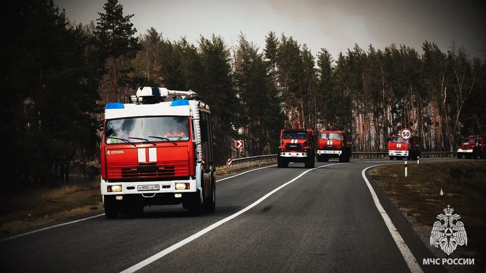 На пожаре спасатели эвакуировали два человека. ФОТО: МЧС России