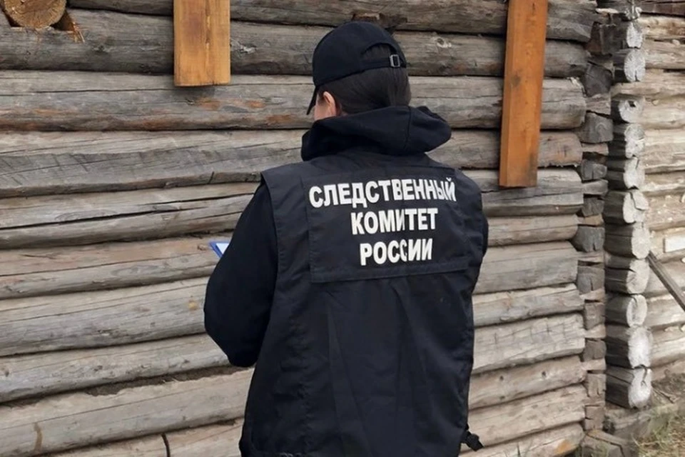 13-летний мальчик погиб от удара молнии во время выпаса лошадей. Фото: СУ СКР по Республике Тыве