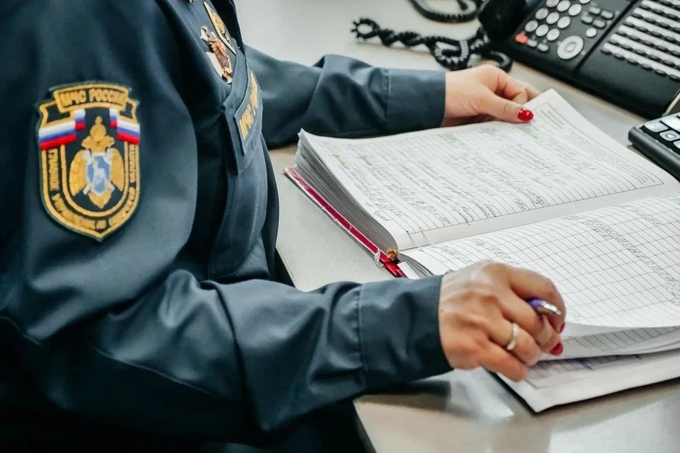 Сотрудники ведомства представили сводку за прошедшие сутки